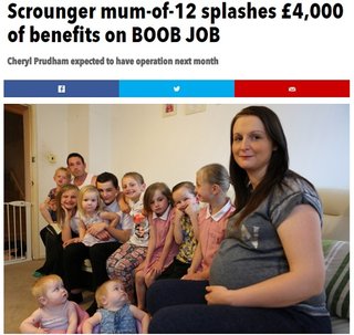 【ナマポの下品さは世界共通】13人目を妊娠中の英シンママ年間560万円受給