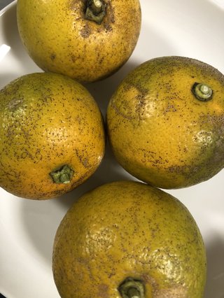 冬至だから、ゆずあげるって送られてきた