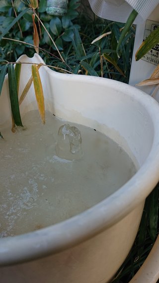 卍★ 閻魔道沙羅の刹堂 ★卍　