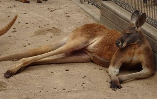 子供に『お母さんマリオカートのルドウィッグに似てる』