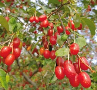 卍★ 閻魔道沙羅の刹堂 ★卍　