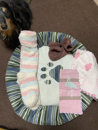 卍★ 閻魔道沙羅の刹堂 ★卍　