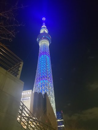 東京タワーが見たい
