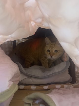 卍★ 閻魔道沙羅の刹堂 ★卍　