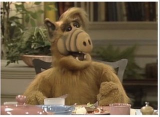 子供に『お母さんマリオカートのルドウィッグに似てる』