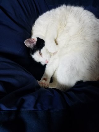 卍★ 閻魔道沙羅の刹堂 ★卍　