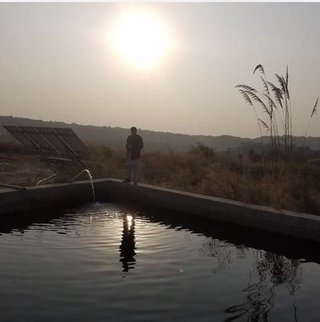 【泰葉】めげない復活