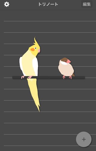 鳥好きさん、いませんか？