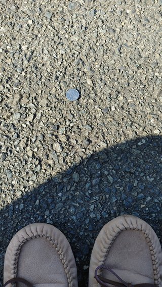 交差点で100円拾ったよ！！！！！