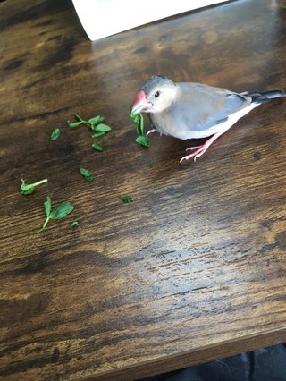 #丁寧じゃない暮らし #意識低め