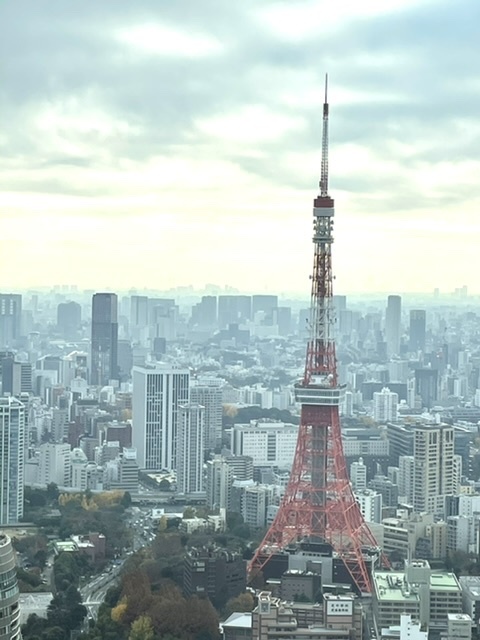 東京タワーが見たい