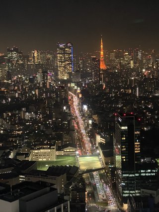東京タワーが見たい