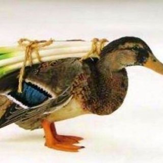 ★○○埋めクイズ★part2