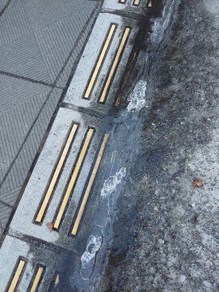 鹿児島 【総合】