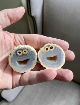 クッキーモンスターそっくりの石が発見 ⇒ 「100万円で譲って」購入希望相次ぐ