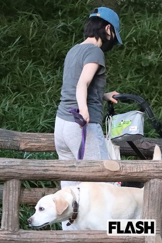 滝川クリステルの「セレブわんこ」推定価格は40万円…“犬が繋ぐ” 夫婦愛