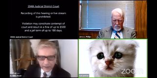 本番の裁判で猫フィルターを外せなくなった弁護士が世界で話題に