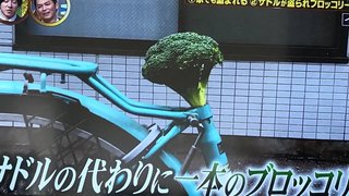 東京都 蒲田 家に置いてる自転車が盗まれ、サドルにはブロッコリー！？