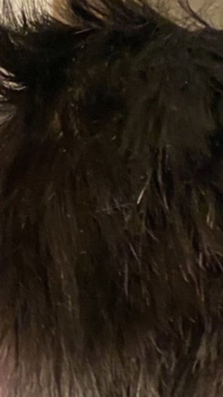 ＴＢＳ系【グッとラック!】月～金　８時