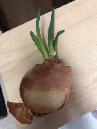 #丁寧じゃない暮らし #意識低め