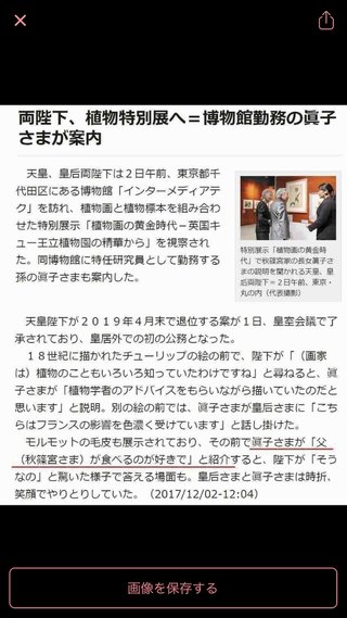 中国犬肉祭りなどから救出された29匹、米に到着