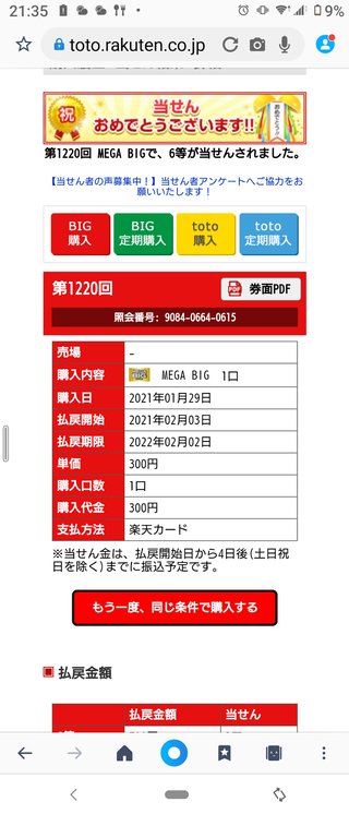 メガBIG買った☆