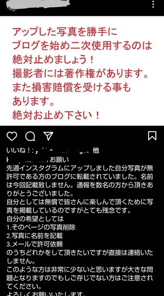 ワナビ 泰葉の反省だ！