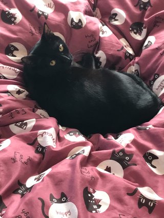 &#x{11:F8E2};なんでもいｰから&#x{11:F8E2};