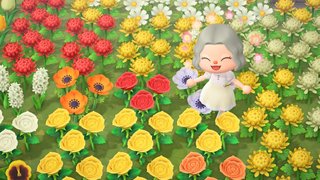 どうぶつの森 Switch 