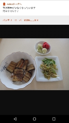 NEW    松居一代様を斬る  2 