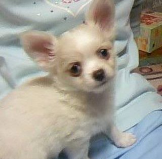  hyde・・・うそでしょ・・・