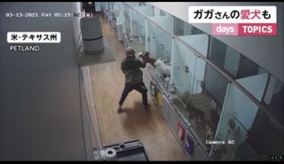 ペットショップで狙われたのは...　ガガさんの愛犬も アメリカ