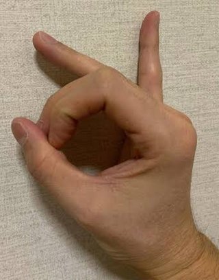 安倍スガ自民党の丸川珠代五輪相 「感情的にしこってきた」 ってなんだ。