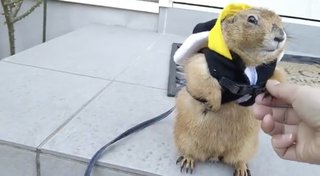 きっと叩かれるであろうことをカキコしてみる