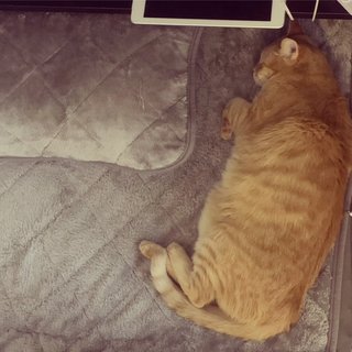 卍★ 閻魔道沙羅の刹堂 ★卍　