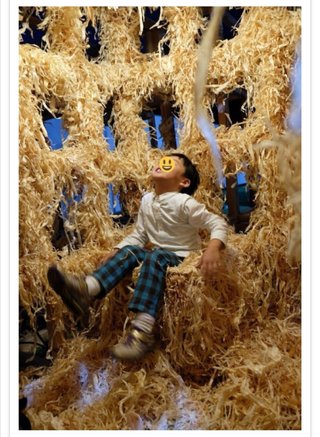 検察、5歳の園児を焼き殺した学生らに禁固一年求刑