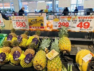 中国が台湾政府へ圧力をかけるために台湾産パイナップルを禁輸　日本からは｢台湾パイン食べよう｣の声