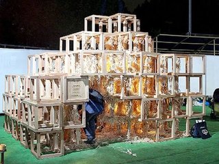 検察、5歳の園児を焼き殺した学生らに禁固一年求刑