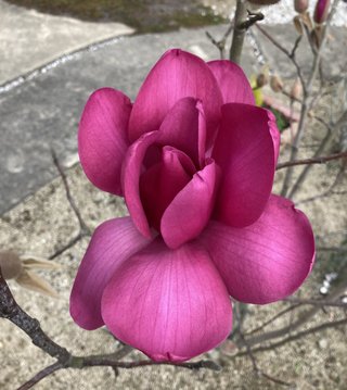 &#x{11:F8E2};なんでもいｰから&#x{11:F8E2};