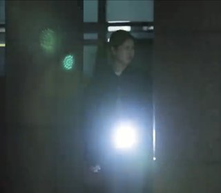 虹プロジェクト