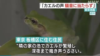 【裁判】｢隣の庭のカエルが深夜までうるさい｣という訴え「カエルの鳴き声は自然音｣として退ける判決