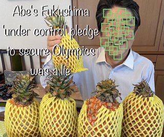 日本軍のレイプをごまかすハーバード大学教授に怒りの声。