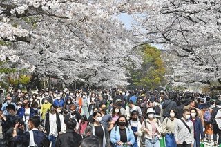 今の函館の様子です。激混みすぎて思わず写真撮影をしました。