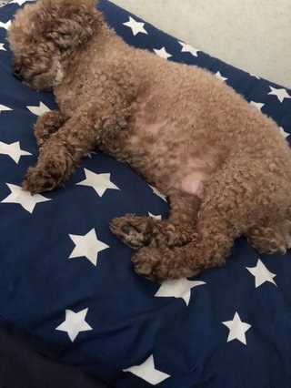 &#x{11:F8E2};なんでもいｰから&#x{11:F8E2};