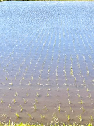 &#x{11:F8E2};なんでもいｰから&#x{11:F8E2};