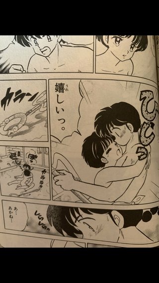 らんま1/2の乱馬とあかねって将来結婚したと思う？