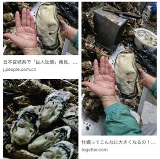海外から批判殺到、福島第一原発の処理水、海洋放出へ！