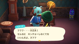 どうぶつの森 Switch 