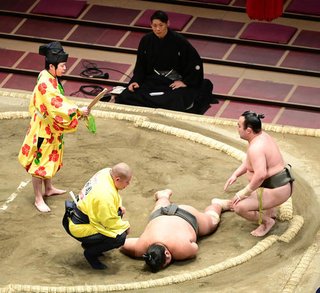 相撲みる人少ないのかな