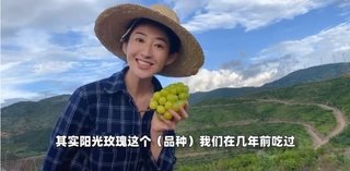 中国人がシャインマスカットの価格を日本産の6分の1に抑えて作る事に成功！！